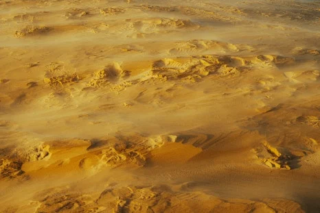 %ED%99%94%EC%9D%B4%ED%8A%B8%EC%83%8C%EB%93%9C_(2_-_7).jpg?type=w466