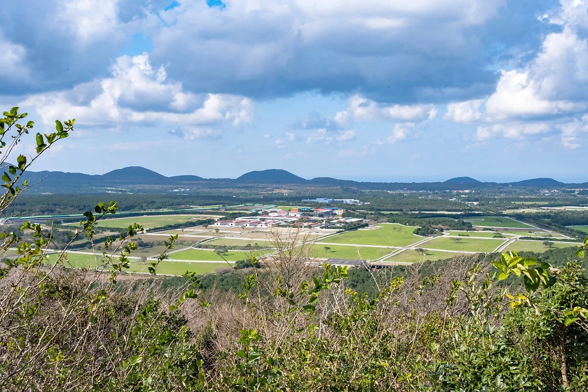 %EB%A7%88%EC%82%AC%ED%9A%8C_%EB%A7%90%EB%AA%A9%EC%9E%A5.jpg?type=w1200