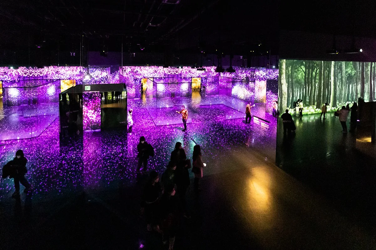 %EA%BD%83.jpg?type=w1200