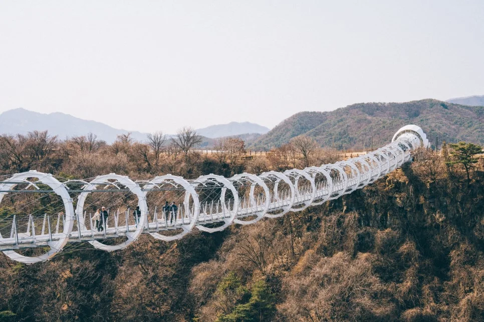 %EC%B2%A0%EC%9B%90_(3_-_11).jpg?type=w966