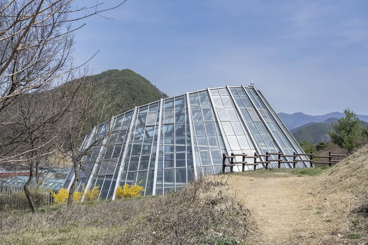 %EB%AC%B4%EC%A3%BC%EB%B0%98%EB%94%94%EB%9E%9C%EB%93%9C_%EC%83%9D%ED%83%9C%EC%98%A8%EC%8B%A4.jpg?type=w1200