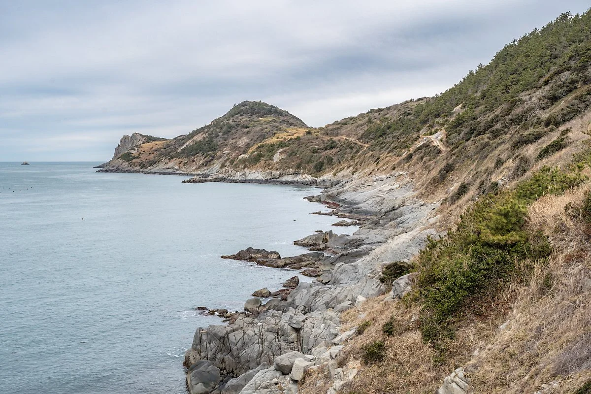 %ED%9A%A1%EA%B0%84%EB%8F%84_%285%29.jpg?type=w1200