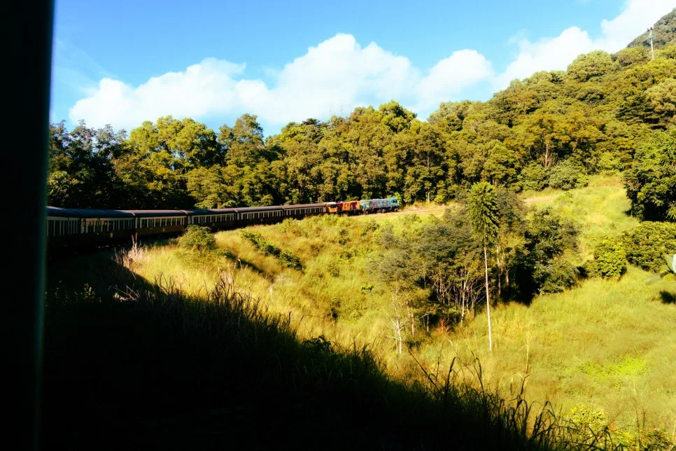 %EC%BF%A0%EB%9E%80%EB%8B%A4_%EA%B4%80%EA%B4%91_%EC%97%B4%EC%B0%A8_(1).jpg?type=w966