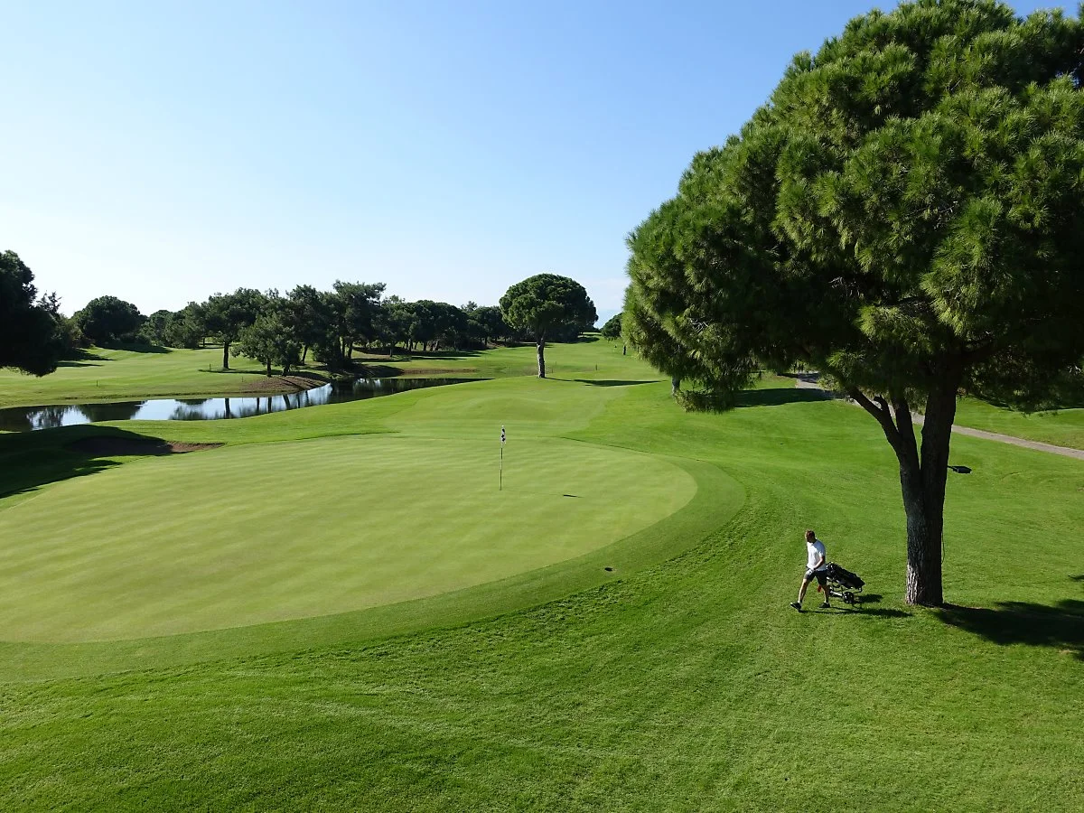 %ED%83%80%EC%9D%B4%ED%83%80%EB%8B%89GC_%2889%29.JPG?type=w1200