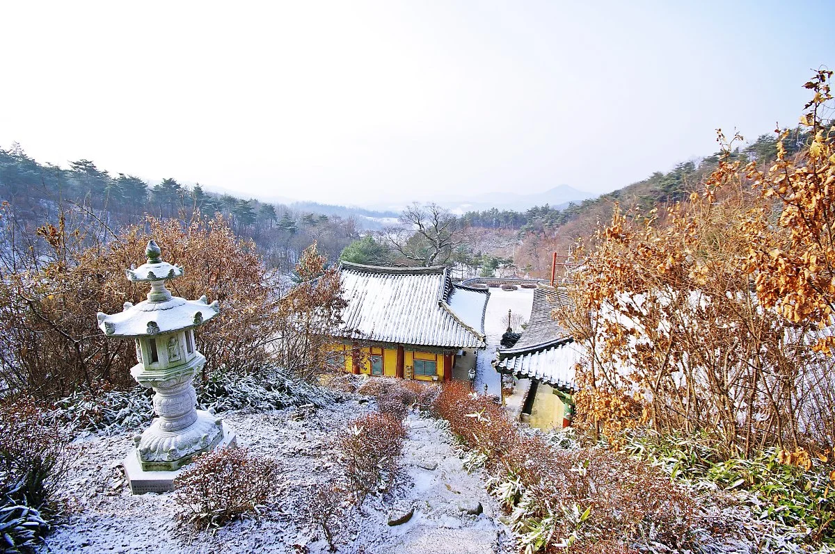 %EB%B9%84%EC%95%94%EC%82%AC_%EC%82%B0%EC%8B%9D%EA%B0%81_%EC%95%9E%EC%97%90%EC%84%9C_%EB%B3%B8_%ED%92%8D%EA%B2%BD.JPG?type=w1200