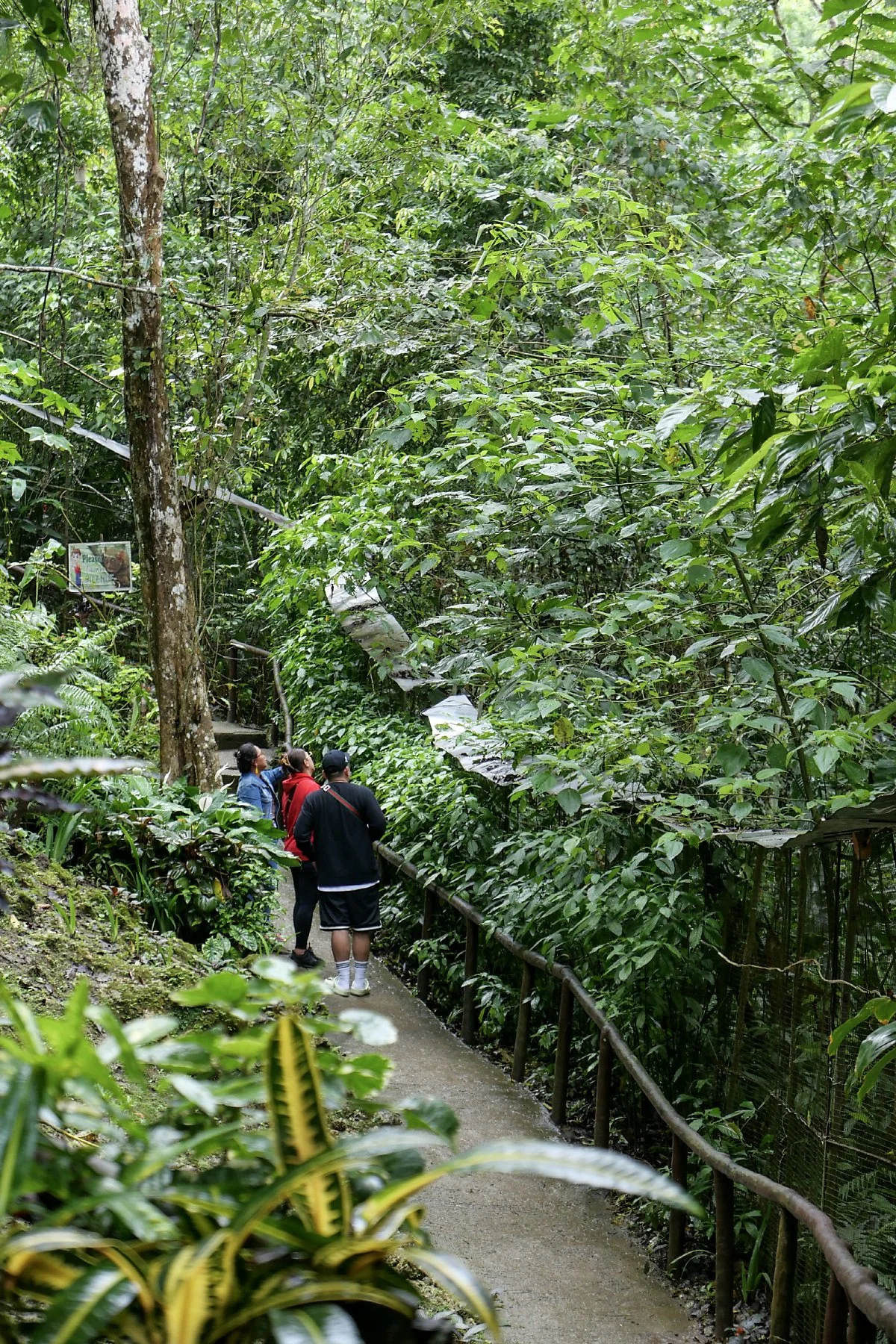 17-%EC%95%88%EA%B2%BD%EC%9B%90%EC%88%AD%EC%9D%B4%EC%83%9D%EC%B6%94%EC%96%B4%EB%A6%AC8.jpg?type=w1200