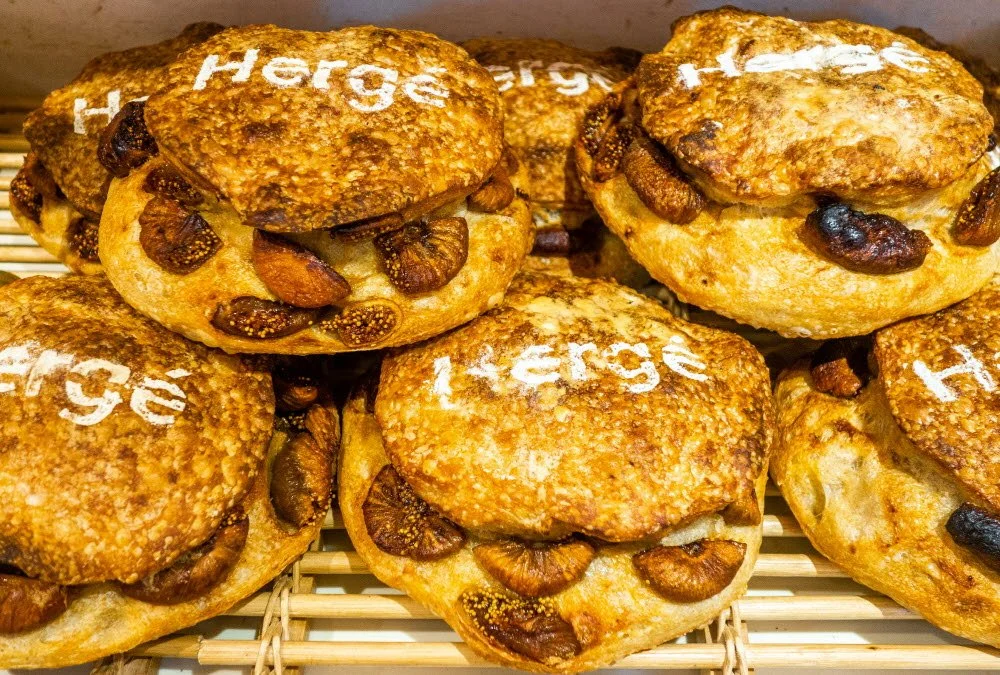 %EC%97%90%EB%A5%B4%EC%A0%9C_%EC%84%B1%EC%88%98_%281%29.jpg?type=w1200