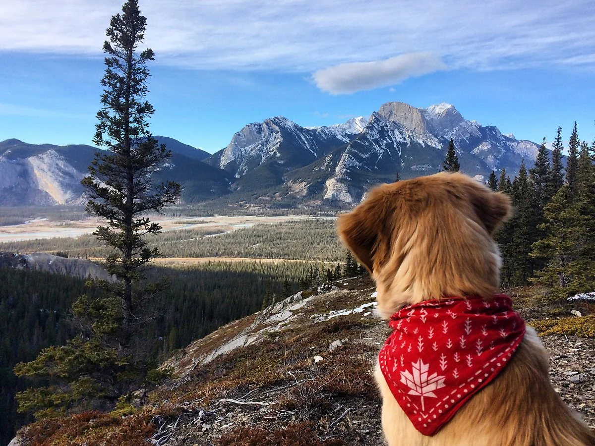 %EC%9E%AC%EC%8A%A4%ED%8D%BC_%EA%B5%AD%EB%A6%BD%EA%B3%B5%EC%9B%90_%283%29.jpg?type=w1200