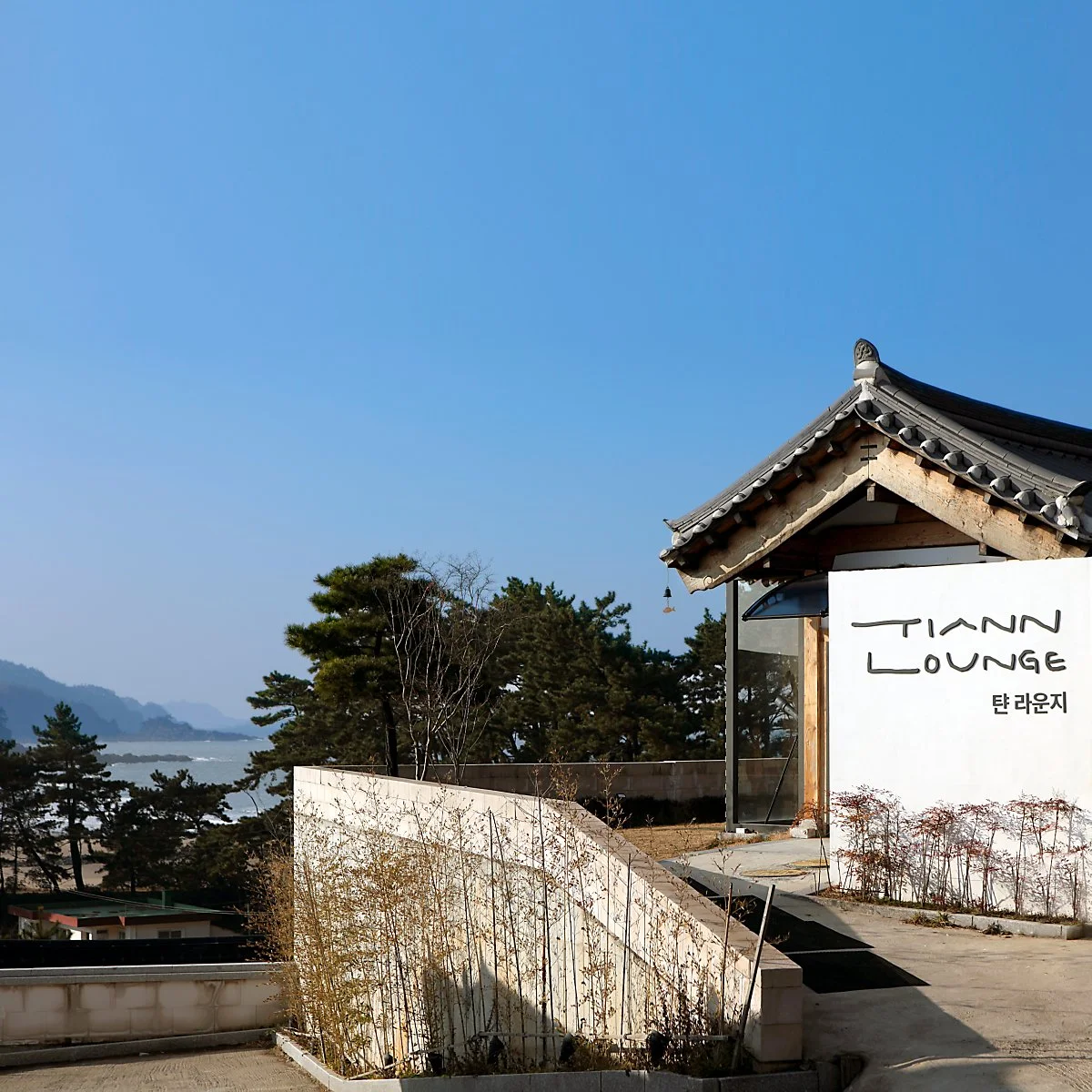 _%ED%83%BC_%ED%95%9C%EC%98%A5%EB%B9%84%EC%B9%98%EB%A6%AC%EC%A1%B0%ED%8A%B8_%EB%9D%BC%EC%9A%B4%EC%A7%80.jpg?type=w1200