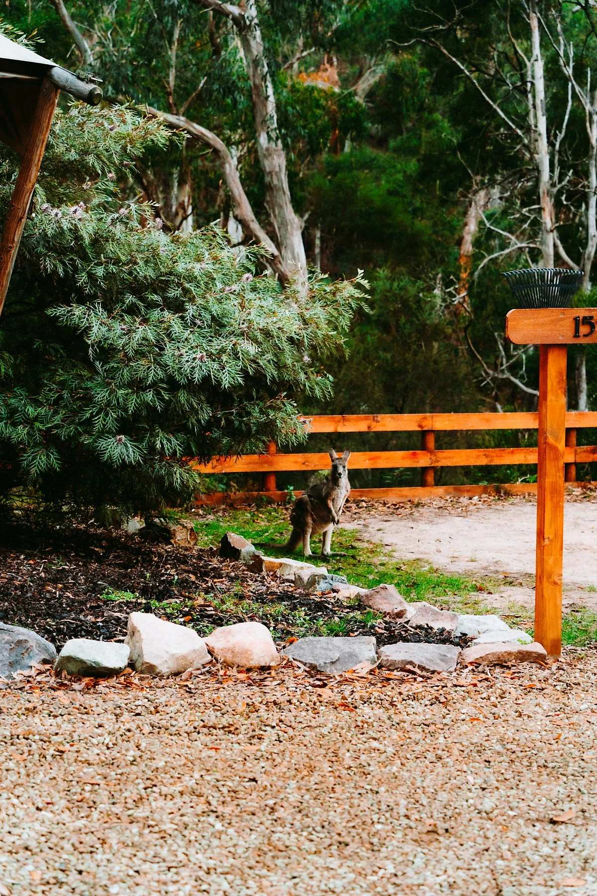 %ED%95%A0%EC%8A%A4_%EA%B0%91_%ED%88%AC%EC%96%B4%EB%A6%AC%EC%8A%A4%ED%8A%B8_%ED%8C%8C%ED%81%AC_%287%29.jpg?type=w1200