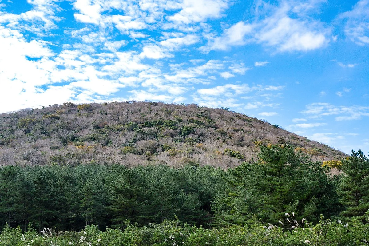 %EB%B6%89%EC%9D%80%EC%98%A4%EB%A6%84_%281%29.jpg?type=w1200