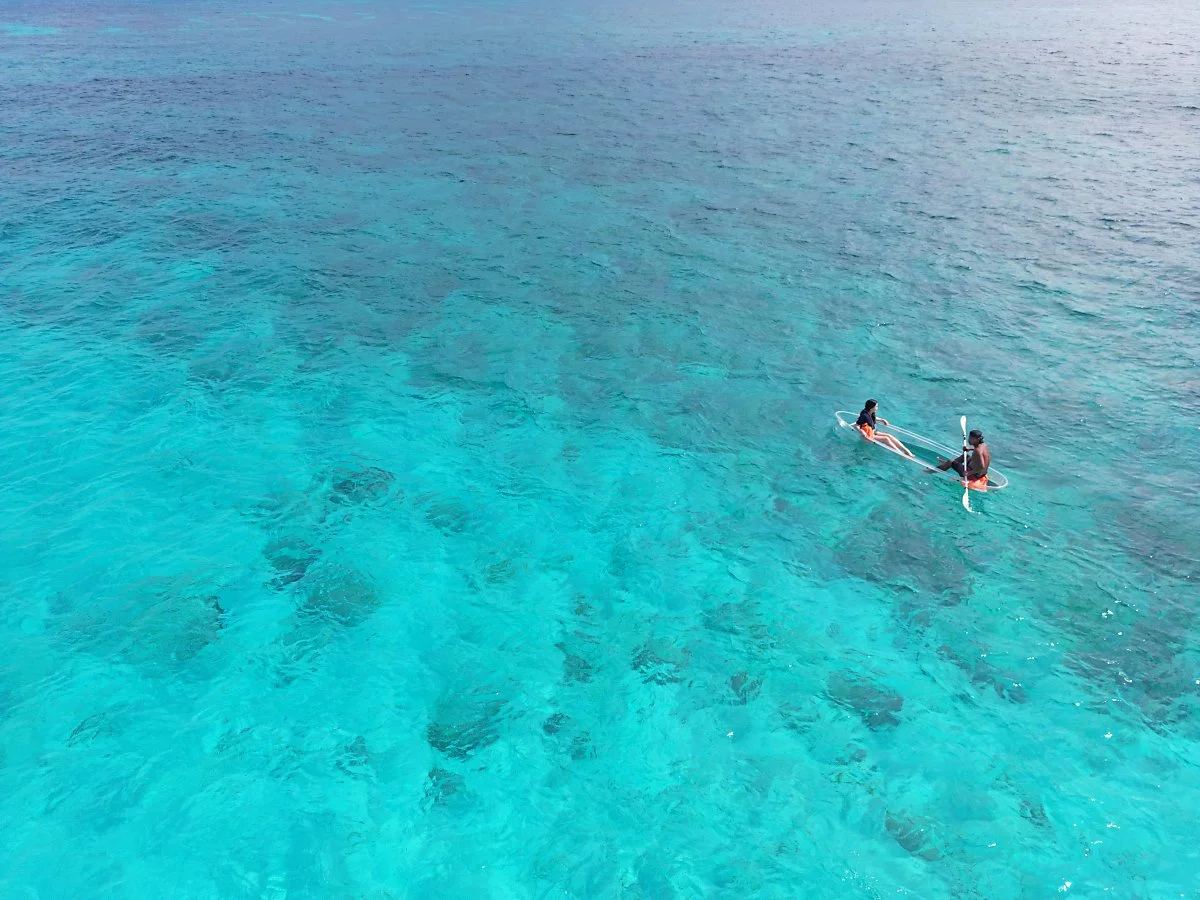 %ED%98%B8%ED%95%91_%ED%88%AC%EC%96%B41_%ED%91%B8%EC%B9%B4_%EB%B9%84%EC%B9%98_%ED%81%AC%EB%A6%AC%EC%8A%A4%ED%83%88_%EC%B9%B4%EC%95%BD.jpg?type=w1200