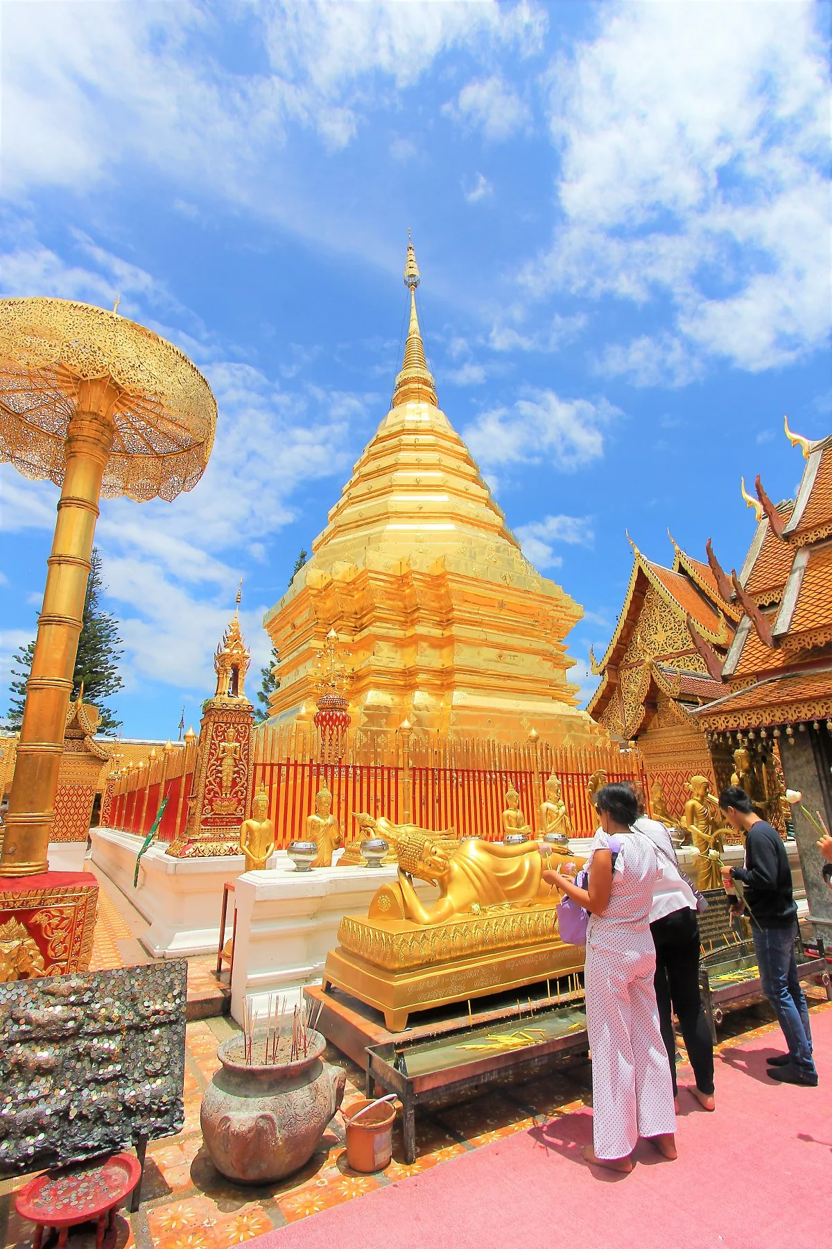 01%EC%99%93_%ED%94%84%EB%9D%BC%ED%83%93_%EB%8F%84%EC%9D%B4%EC%91%A4%ED%85%9D_%281%29.JPG?type=w1200