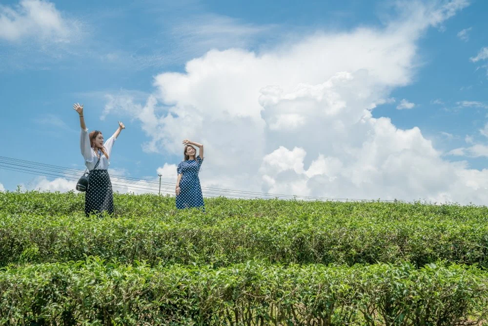 %ED%81%AC%EA%B8%B0%EB%B3%80%ED%99%98_%EC%B6%94%EC%9D%B4%ED%90%81%EB%85%B9%EC%B0%A8%EB%86%8D%EC%9E%A5_%2817%29.jpg?type=w1200