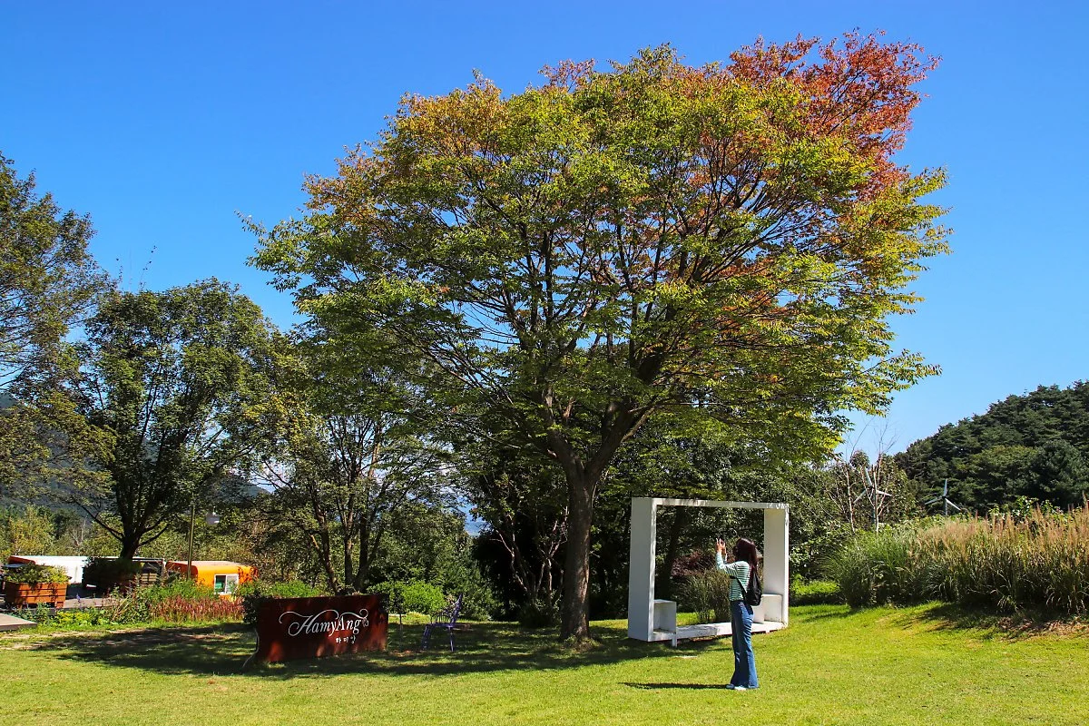 %ED%95%98%EB%AF%B8%EC%95%99%EC%99%80%EC%9D%B8%EB%B0%B8%EB%A6%AC1_%EC%A0%95%EC%9B%90.jpg?type=w1200