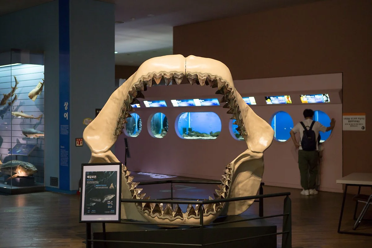 %EB%AA%A9%ED%8F%AC%EC%9E%90%EC%97%B0%EC%82%AC%EB%B0%95%EB%AC%BC%EA%B4%80__%EC%A0%95%EC%9D%80%EC%A3%BC_%283%29.JPG?type=w1200