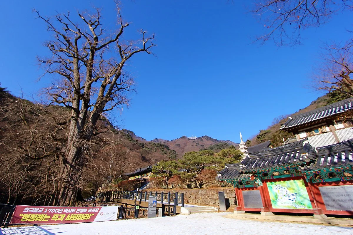 02%EC%9A%A9%EB%AC%B8%EC%82%AC_%282%29.JPG?type=w1200