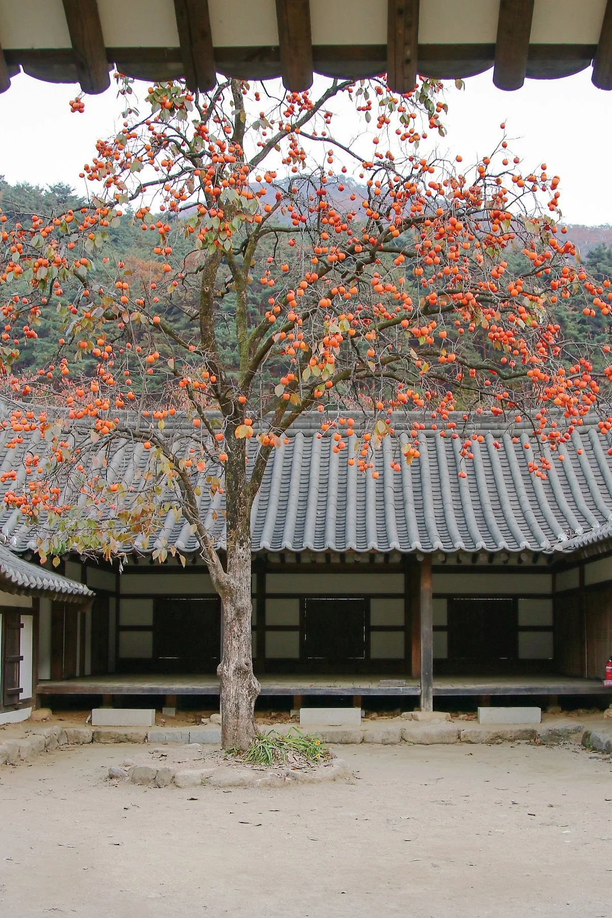 %EB%AC%B8%EA%B2%BD%EC%83%88%EC%9E%AC_%289%29.jpg?type=w1200