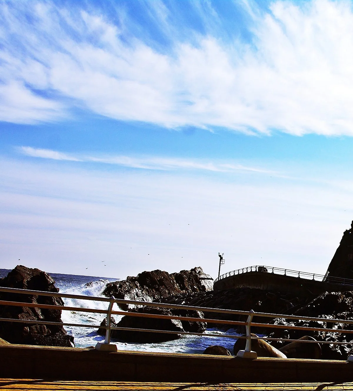 %EC%8B%AC%EA%B3%A1%ED%95%AD%EA%B8%88%EC%A7%84%ED%95%AD_%EC%82%AC%EC%9D%B4_%EB%B0%94%EB%8B%B7%EA%B0%80_%EB%8F%84%EB%A1%9C%EA%B0%80_%EB%A9%8B%EC%9E%88%EB%8B%A4.JPG?type=w1200