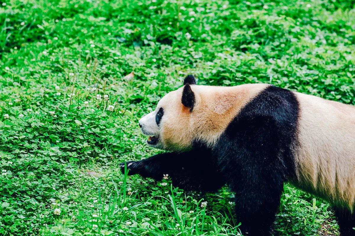 %ED%91%B8%EB%B0%94%EC%98%A4_%EC%82%AC%EC%A7%84%EC%9D%80_%EA%BC%AD_%EC%8D%A8%EC%A3%BC%EC%84%B8%EC%9A%94__%283%29.jpg?type=w1200