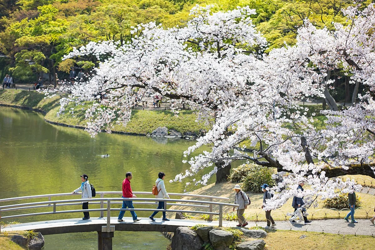 %EB%8F%84%EC%BF%84_%EC%BD%94%EC%9D%B4%EC%8B%9C%EC%B9%B4%EC%99%80_%EC%BD%94%EB%9D%BC%EC%BF%A0%EC%97%94_2.jpg?type=w1200