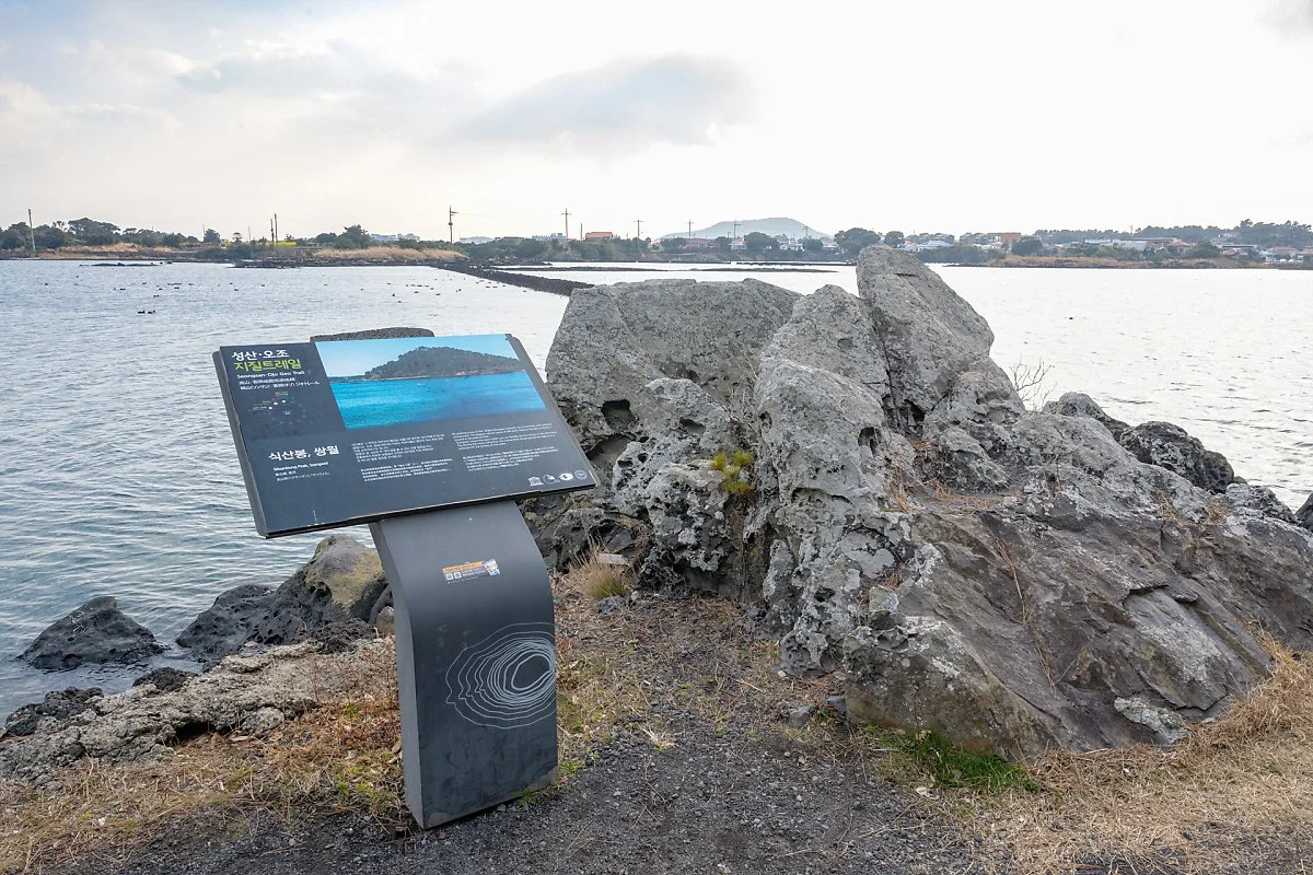 %EC%98%A4%EC%A1%B0%EB%A6%AC_%EC%A7%80%EC%A7%88.jpg?type=w1200