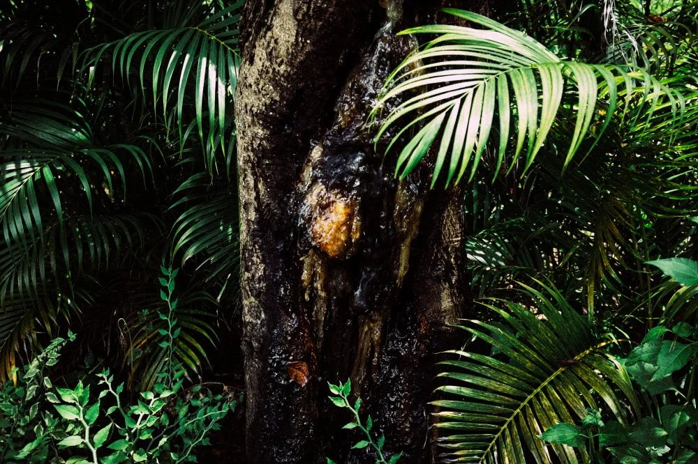 %EB%9E%98%ED%94%8C%EC%8A%A4-47.jpg?type=w1200