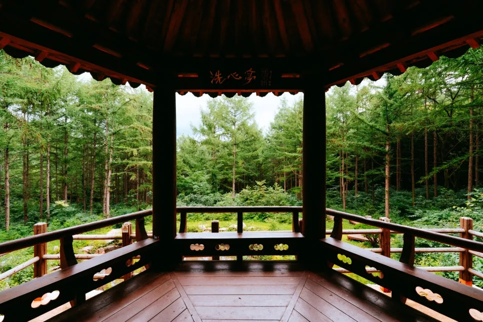 %ED%81%AC%EA%B8%B0%EB%B3%80%ED%99%98%EA%B5%AD%EB%A6%BD%EA%B9%80%EC%B2%9C%EC%B9%98%EC%9C%A0%EC%9D%98%EC%88%B2_(10).jpg?type=w966