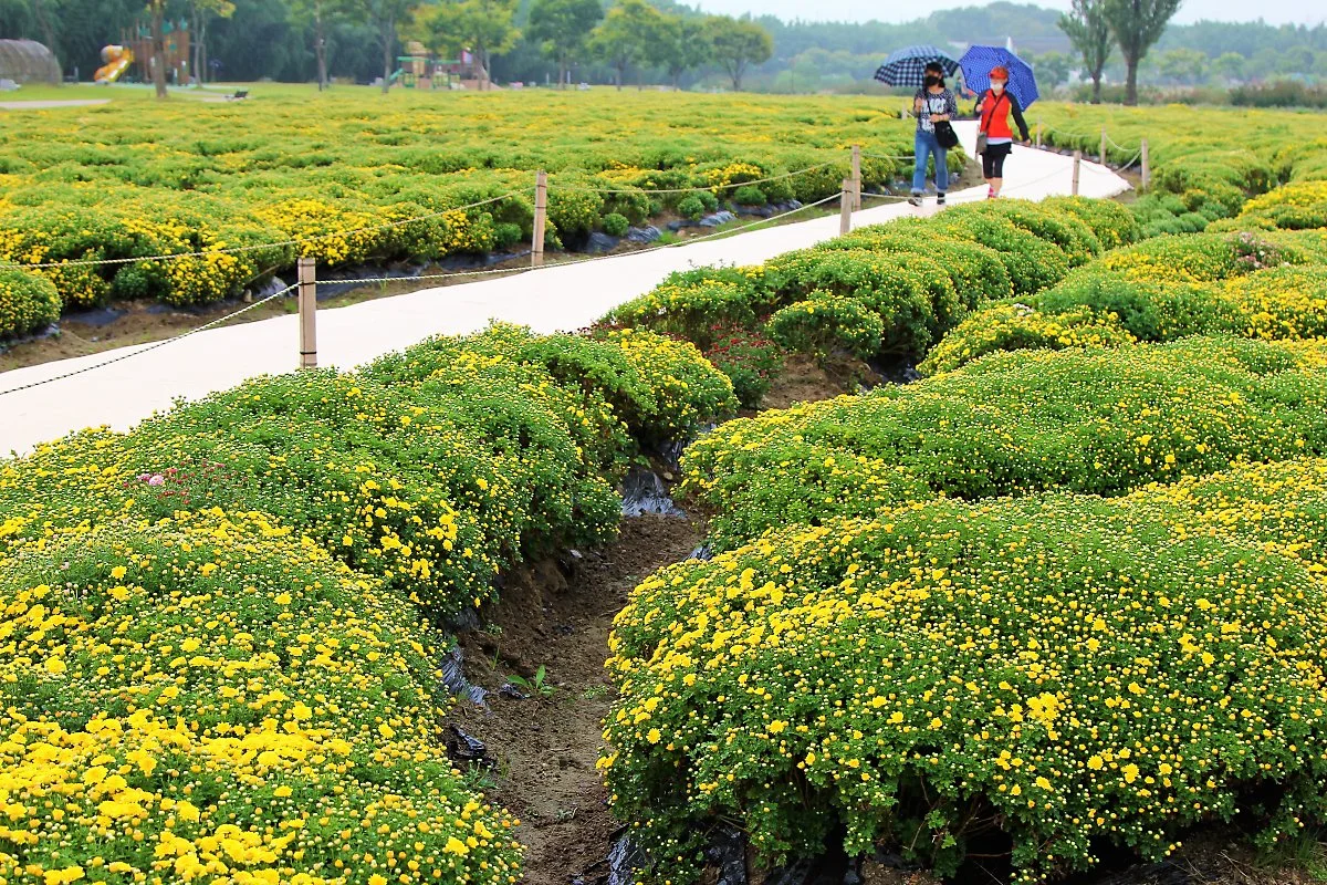 %EA%B5%AD%ED%99%94_%2812%29.JPG?type=w1200