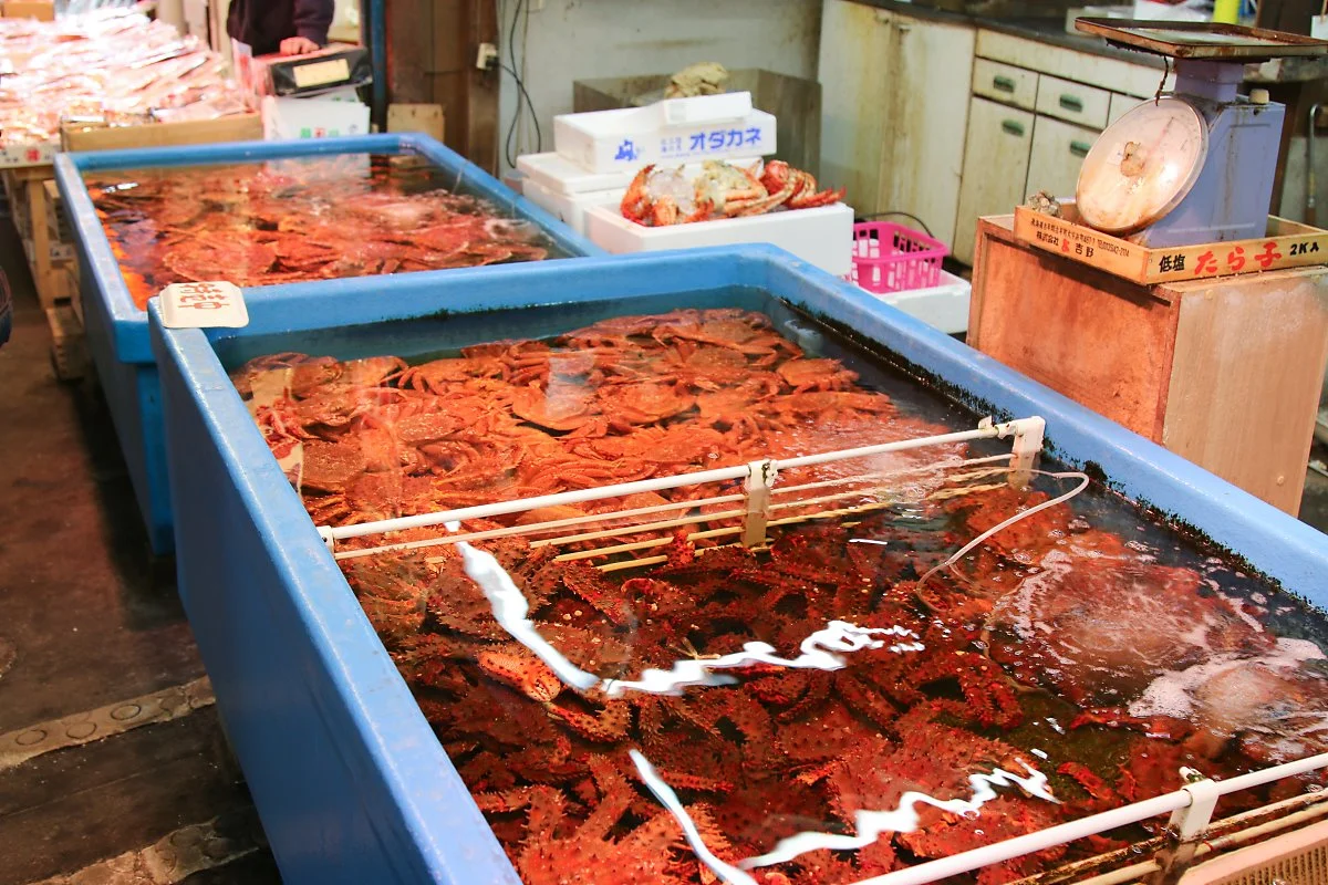 2_%EC%82%B0%EC%B9%B4%EC%BF%A0_%EB%A7%88%EC%BC%93_%281%29.jpg?type=w1200