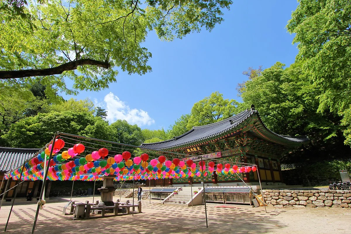 05%EB%8F%84%ED%94%BC%EC%95%88%EC%82%AC_%281%29.JPG?type=w1200