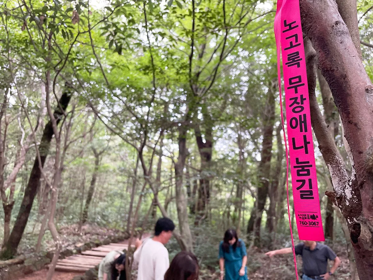 %EC%84%9C%EA%B7%80%ED%8F%AC%EC%B9%98%EC%9C%A0%EC%9D%98%EC%88%B2_%2853%29.JPG?type=w1200