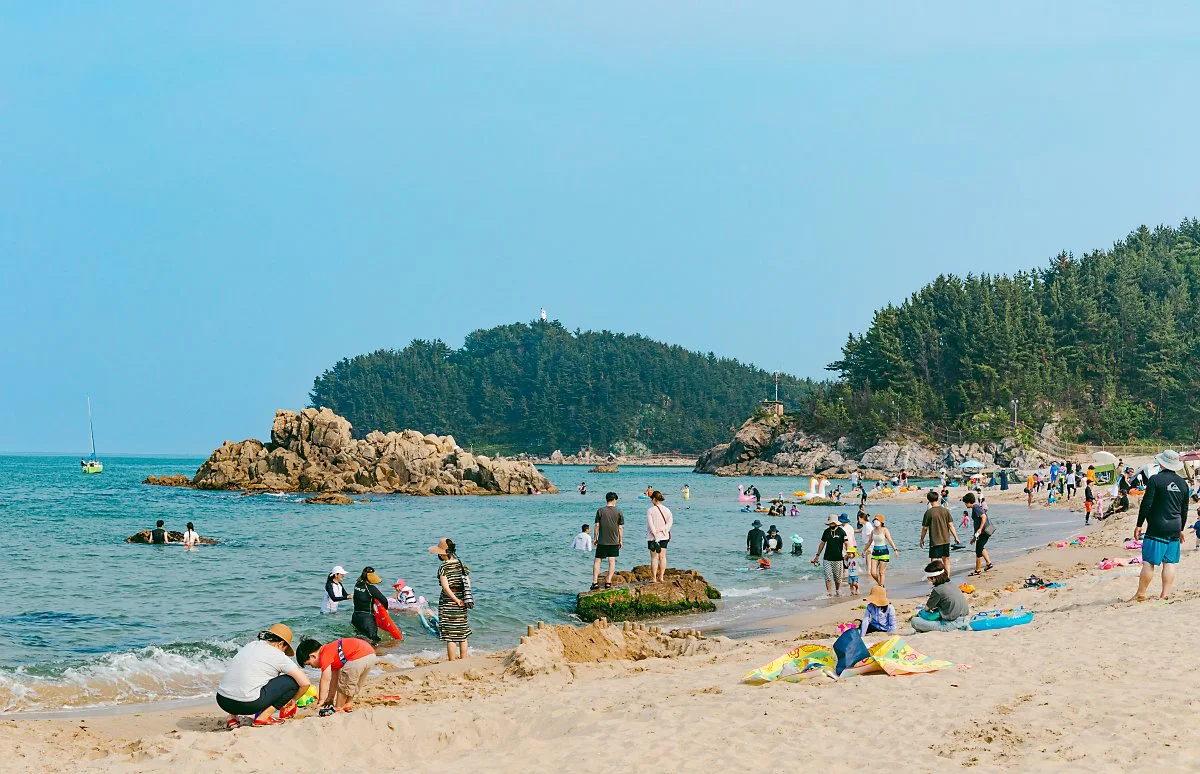 d_%EC%8F%A0%EB%B9%84%EC%B9%98_%EC%96%91%EC%96%91_2.jpg?type=w1200