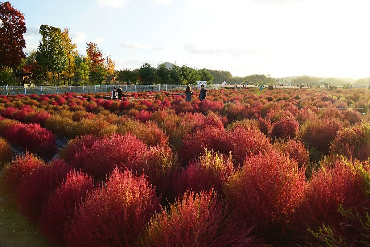 DSC08319.JPG?type=w1200