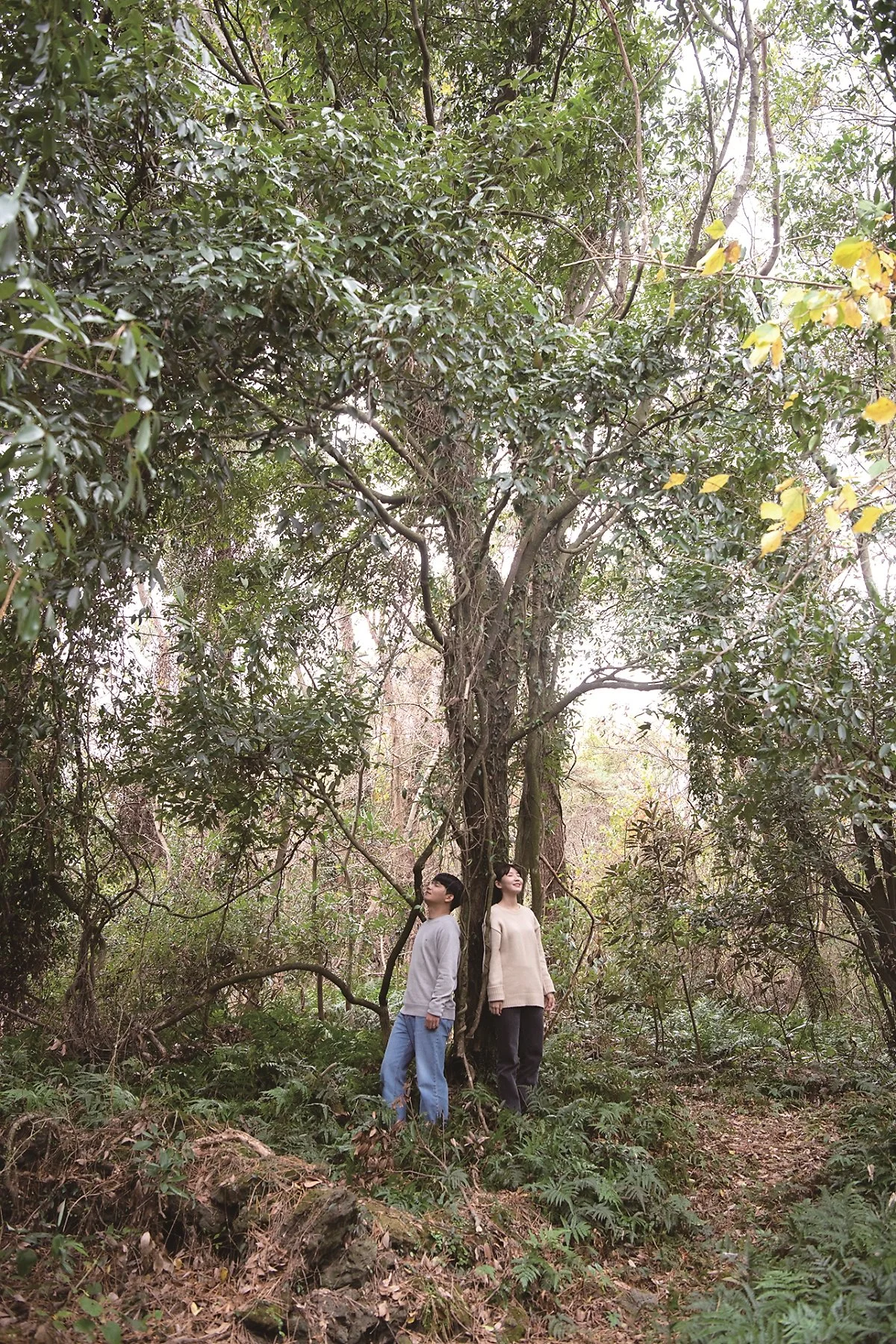 %EC%A0%80%EC%A7%80%EB%A6%AC2.jpg?type=w1200