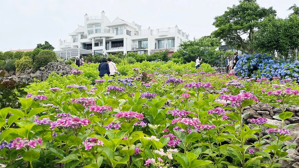 %EB%A7%88%EB%85%B8%EB%A5%B4%EB%B8%94%EB%9E%91_%281%29.JPG?type=w1200