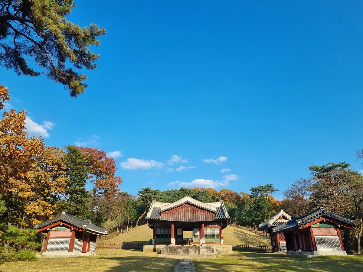 01%ED%8C%8C%EC%A3%BC%EC%82%BC%EB%A6%89_%281%29.jpg?type=w1200