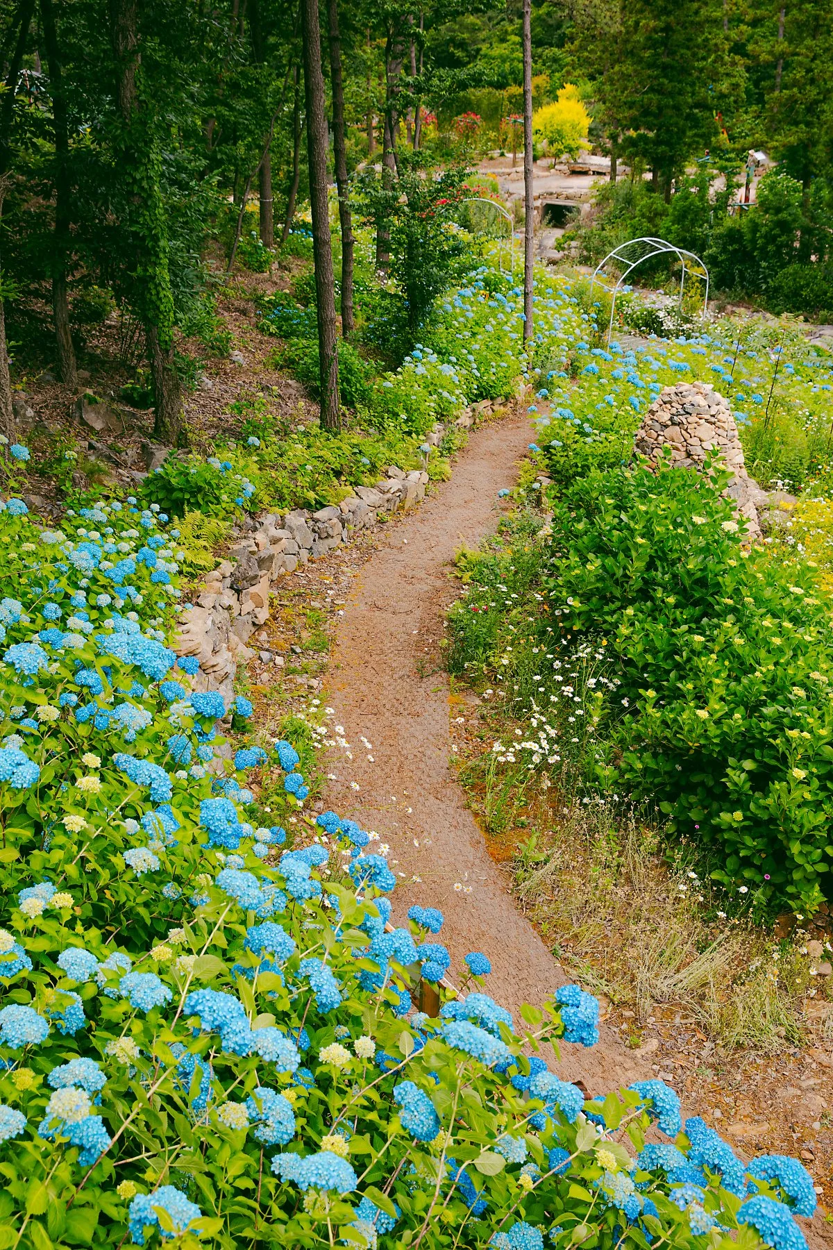 4est%EC%88%98%EB%AA%A9%EC%9B%90%287%29.jpg?type=w1200