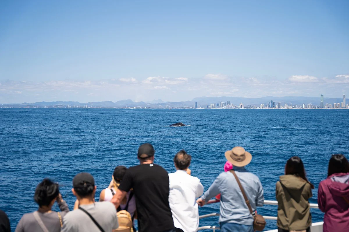 Whale_Watching_-_9.jpg?type=w1200
