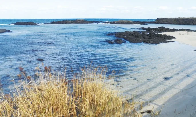 %EB%AC%B4%EB%B9%842.jpg?type=w1200