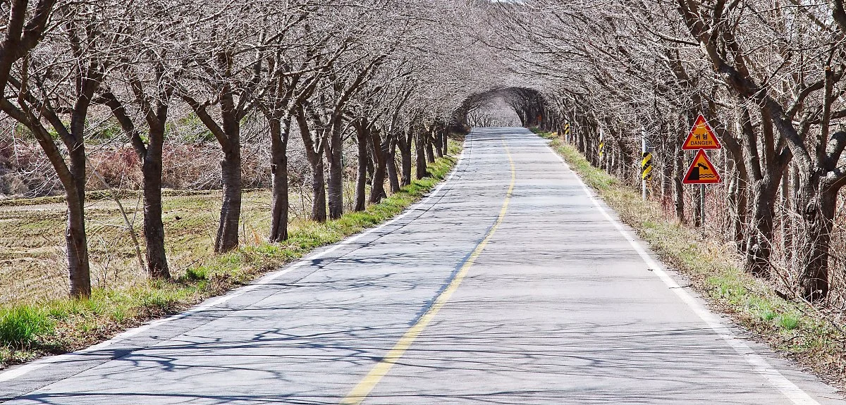 %EC%86%A1%EC%B2%9C%EB%A6%AC_%EB%B2%9A%EB%82%98%EB%AC%B4_%ED%84%B0%EB%84%90.JPG?type=w1200