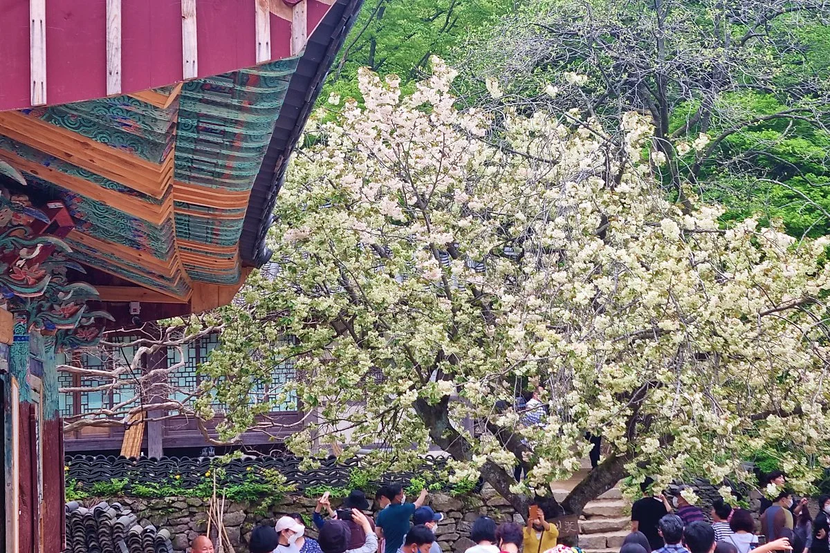 04%EA%B0%9C%EC%8B%AC%EC%82%AC_%283%29.jpg?type=w1200