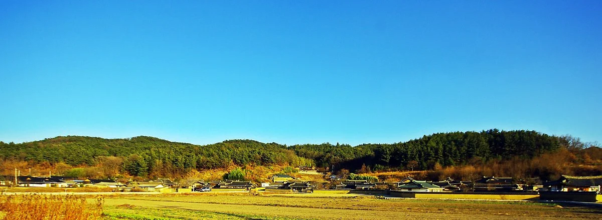 %EA%B4%B4%EC%8B%9C%EB%A7%88%EC%9D%84%EC%9D%80_%EA%B3%A0%EB%A0%A4%EB%A7%90_%ED%95%A8%EC%B0%BD_%EA%B9%80%EC%94%A8%EA%B0%80_%EC%B2%98%EC%9D%8C_%ED%84%B0%EB%A5%BC_%EB%8B%A6%EC%95%98%EB%8B%A4._%EC%A7%80%EA%B8%88%EC%9D%80_1630%EB%85%84%EC%97%90_%EC%9E%90.JPG?type=w1200