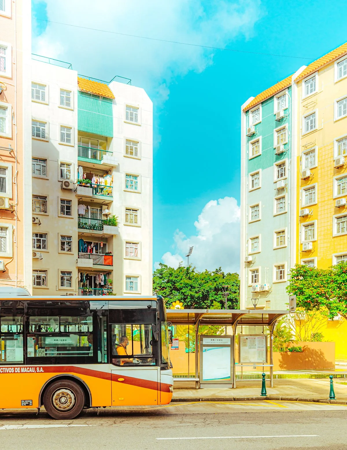 KHS_3896.jpg?type=w1200