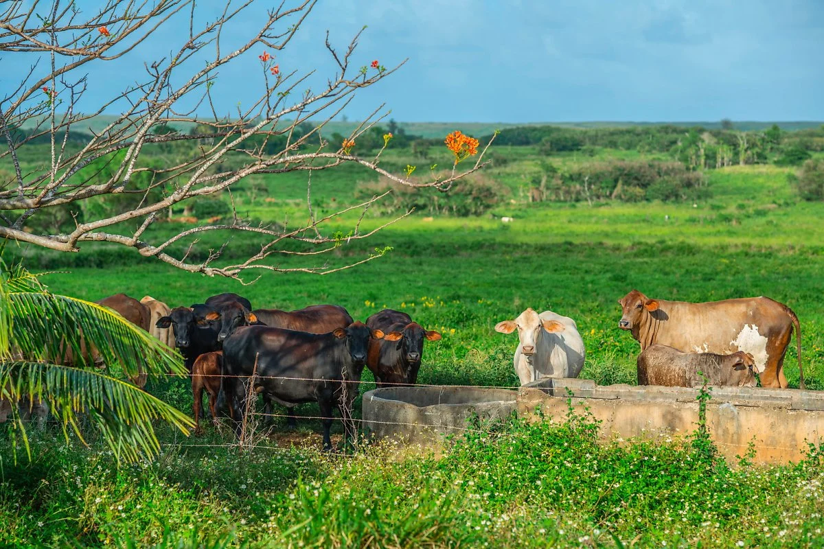 %ED%92%8D%EA%B2%BD_%281%29.jpg?type=w1200