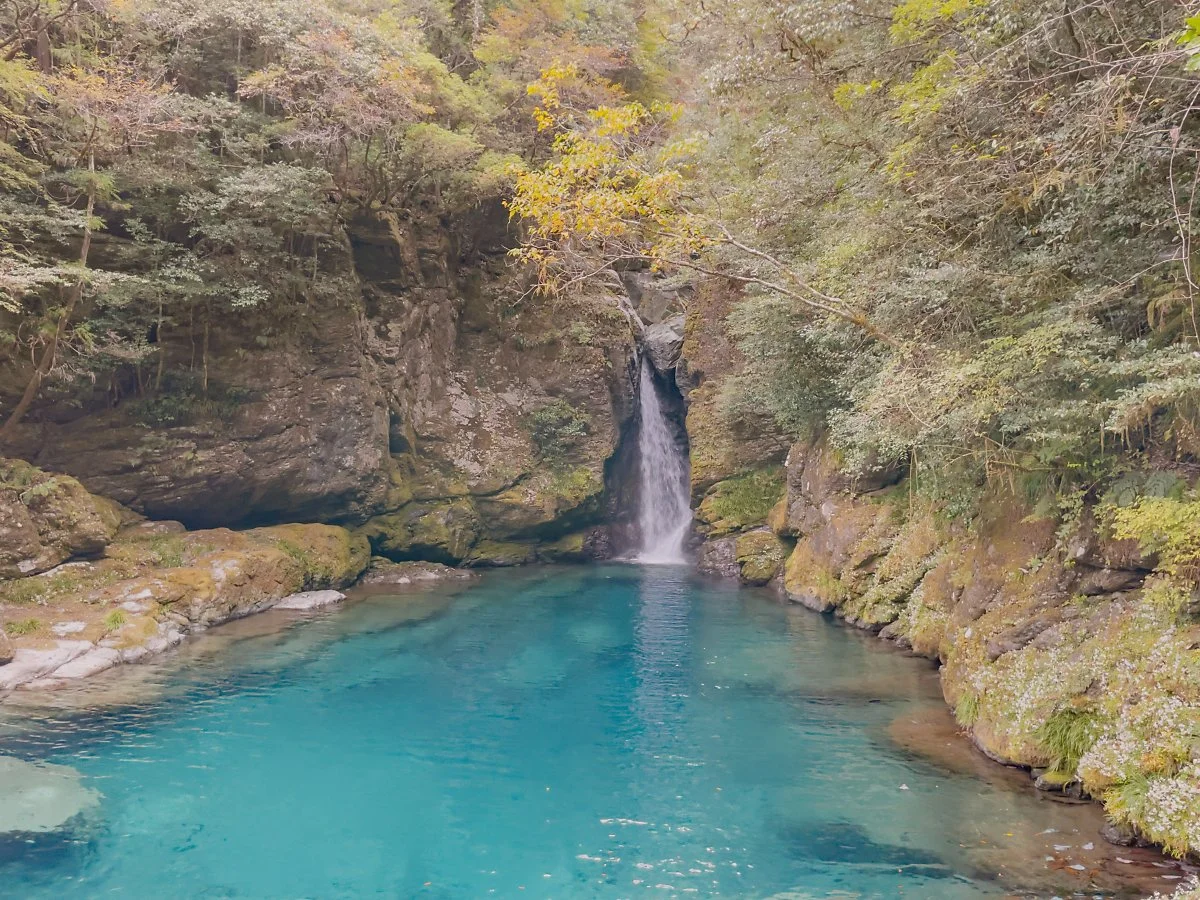 %EB%8B%88%EC%BD%94%EB%B6%80%EC%B9%98_%EC%95%84%EC%9D%B4%ED%8F%B0_%283%29.JPG?type=w1200