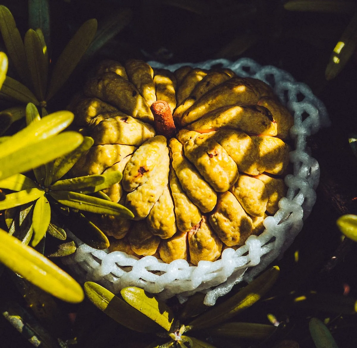 image_9583773261701927843482.jpg?type=w1200