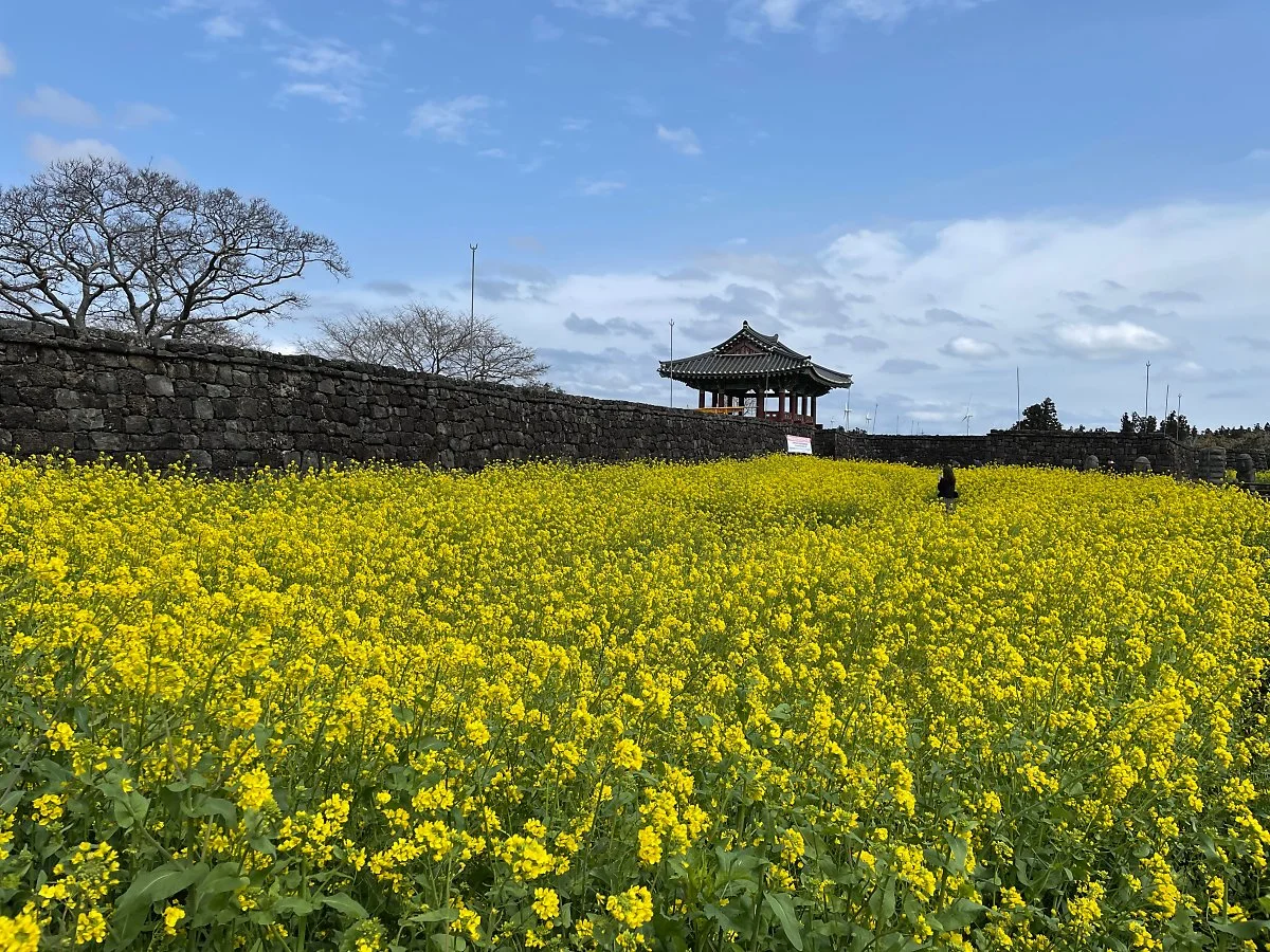 %EC%84%B1%EC%9D%8D%EB%AF%BC%EC%86%8D%EB%A7%88%EC%9D%84%EC%9C%A0%EC%B1%84%EA%BD%83_%281%29.JPG?type=w1200