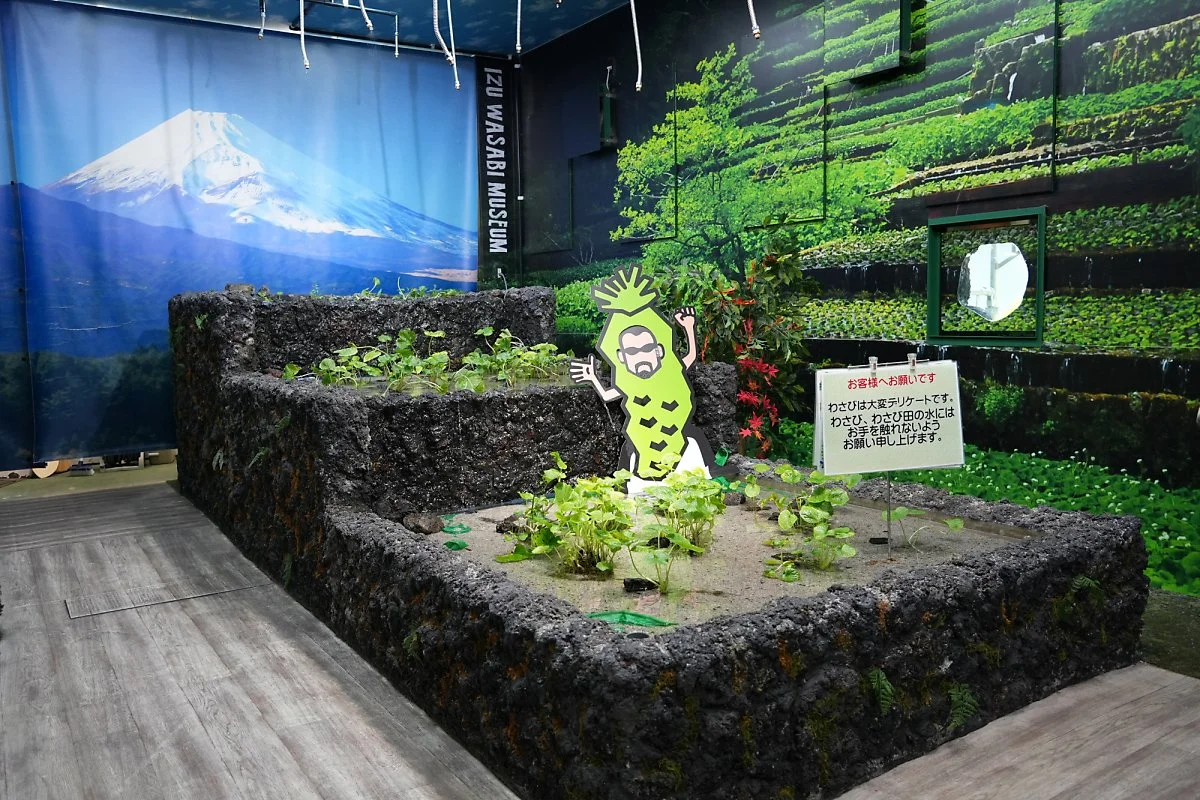 %EC%99%80%EC%82%AC%EB%B9%84_%EB%AE%A4%EC%A7%80%EC%97%84_%284%29_%EA%B3%84%EB%8B%A8%EC%8B%9D_%EC%88%98%EA%B2%BD%EC%9E%AC%EB%B0%B0.jpg?type=w1200