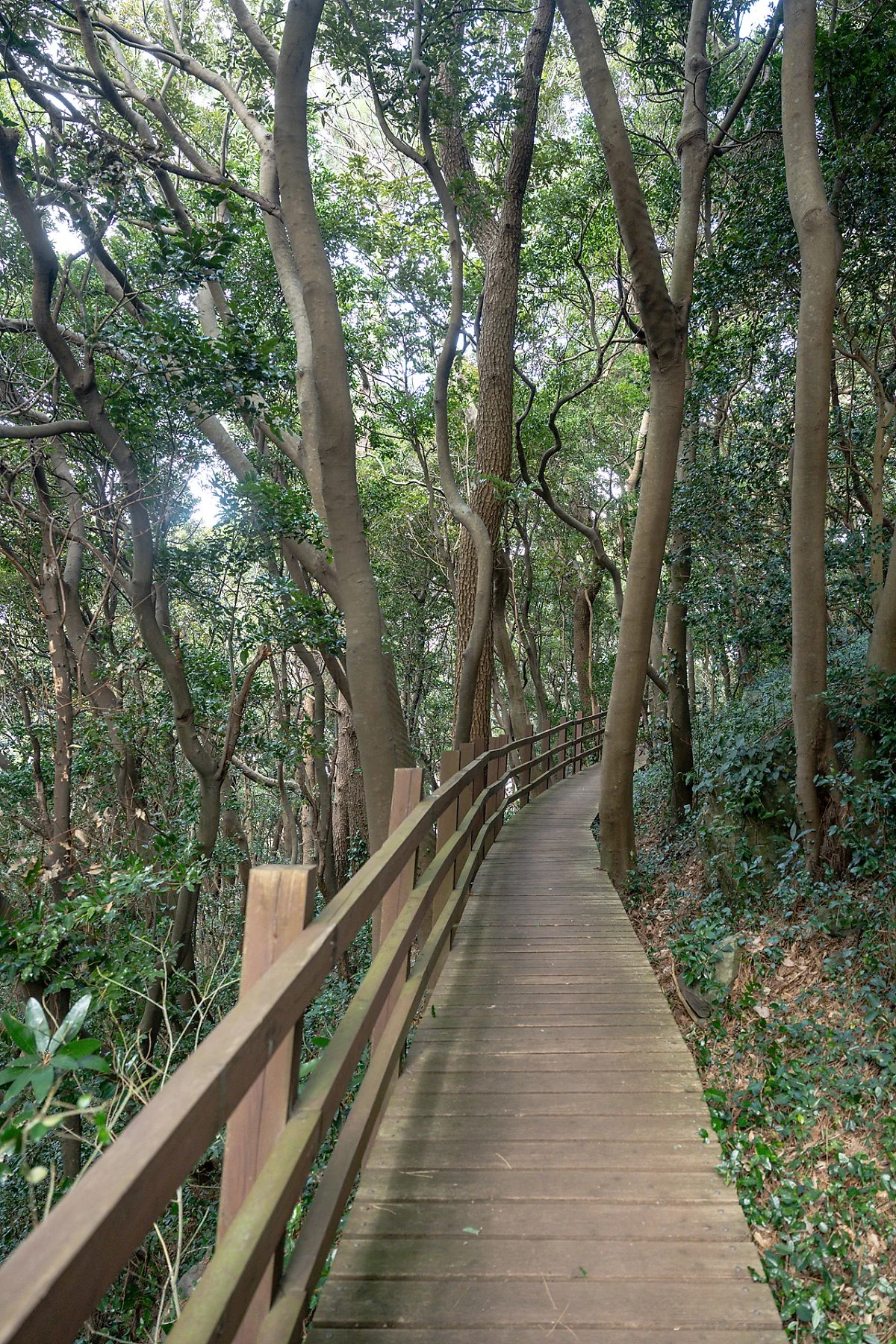 %EC%98%A4%EC%A1%B0%EB%A6%AC_%EC%8B%9D%EC%82%B0%EB%B4%89__%281%29.jpg?type=w1200